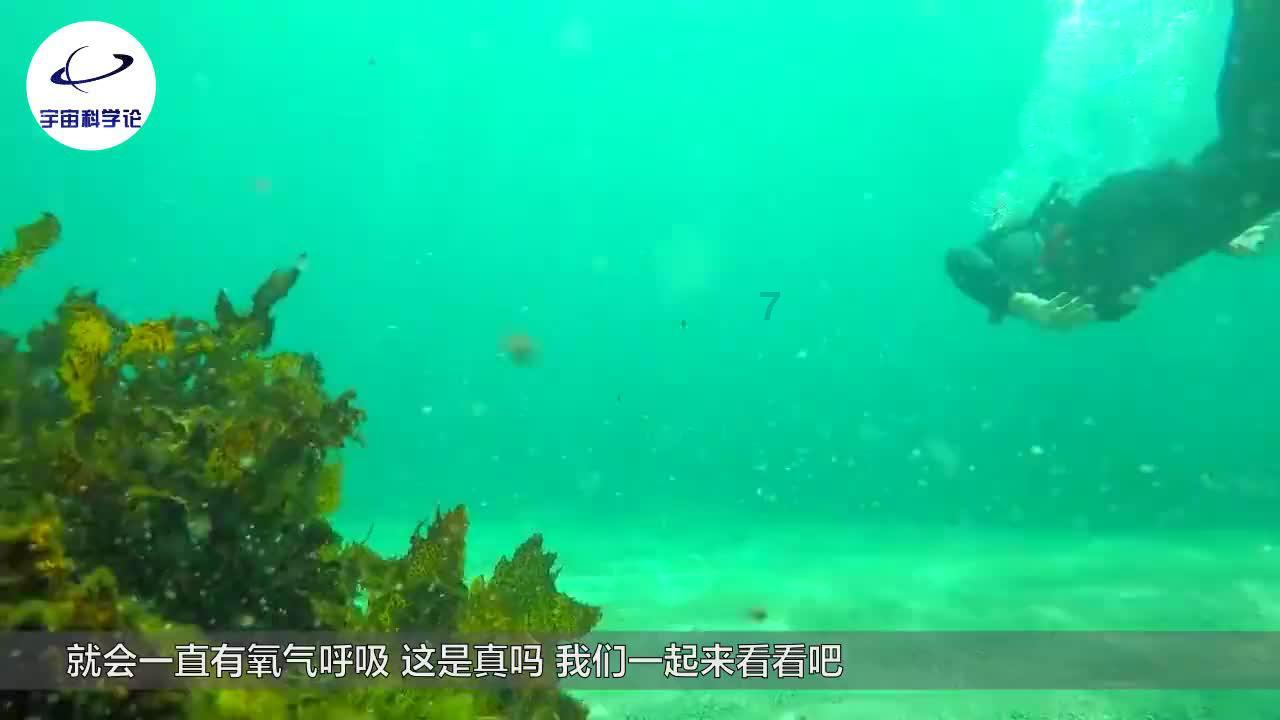 春运：高铁站有一支“解难题”服务队