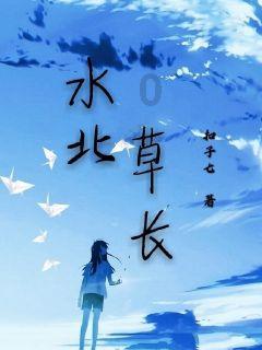 打呀么打飞机